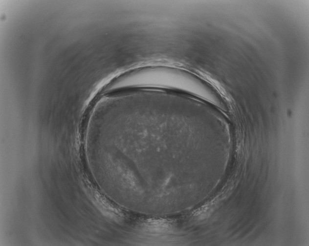 X0000087411264200704271703