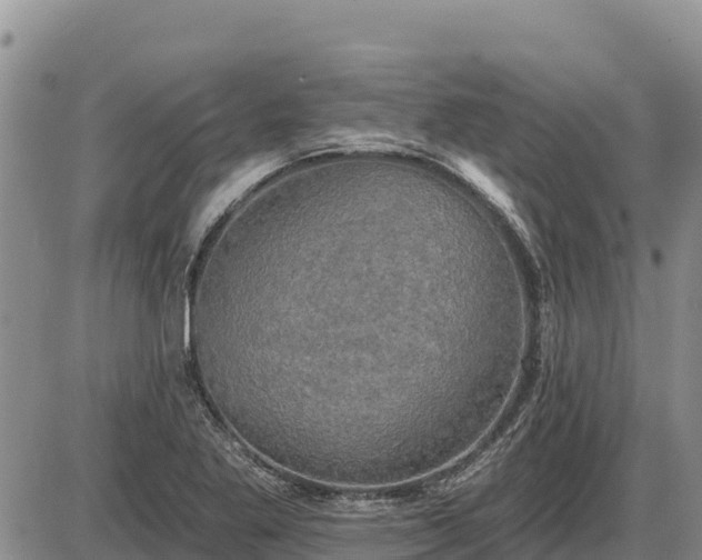 X0000087411269200704271703