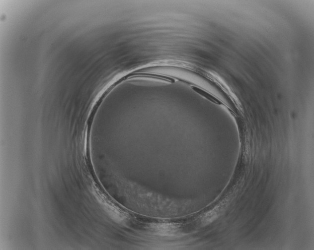X0000087411276200704271703