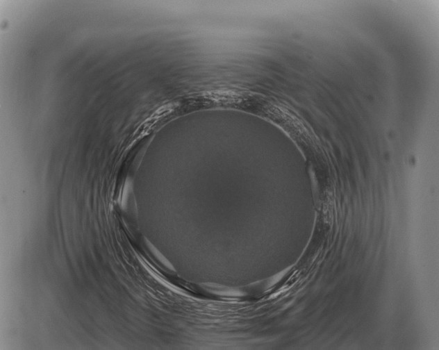 X0000087411298200704271702
