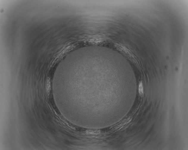 X0000087411299200704271702