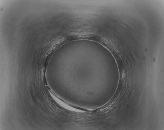 X0000087411300200704271702