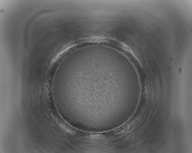 X0000087411304200704271702