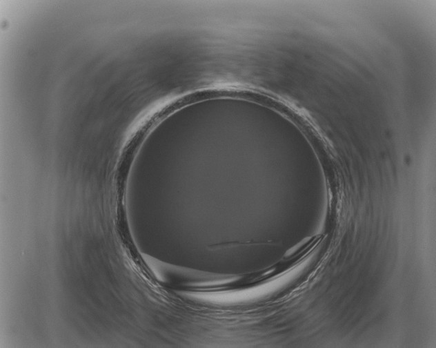 X0000087411319200704271702