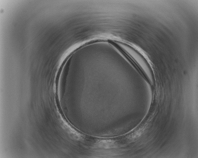 X0000087411335200704271702