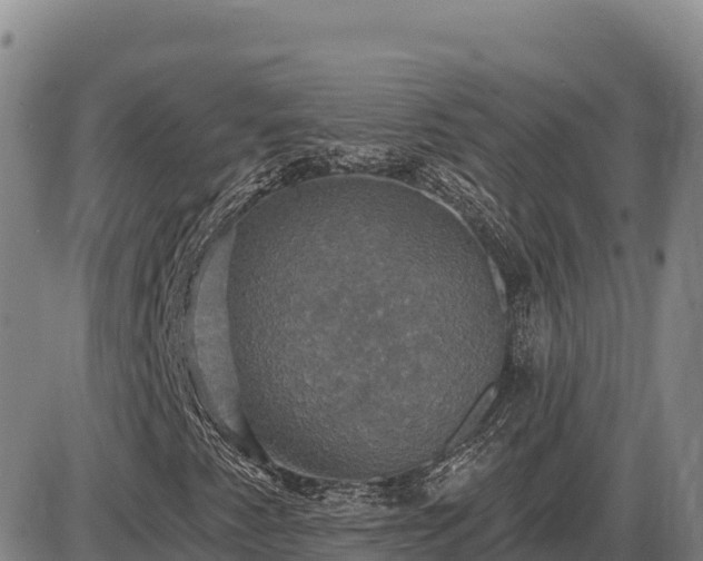 X0000087411345200704271702