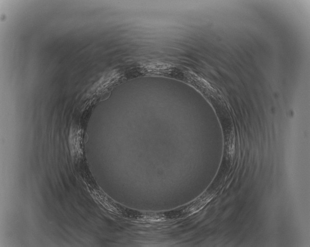 X0000087411346200704271702