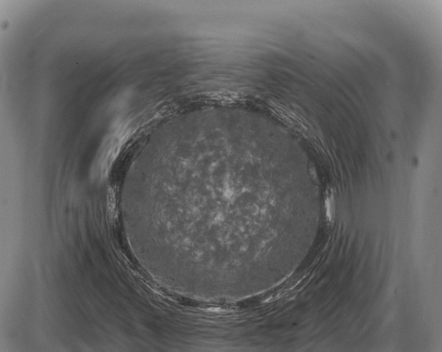 X0000087411347200704271702