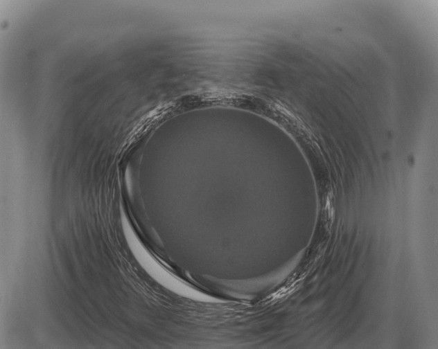 X0000087411348200704271702
