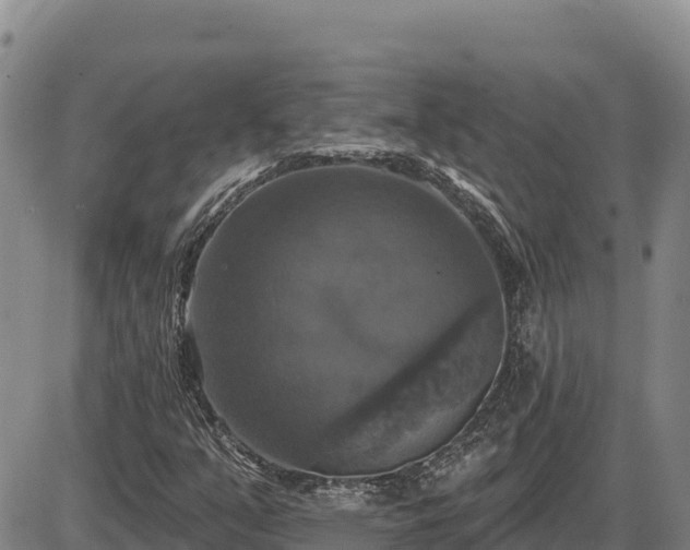 X0000087411351200704271702