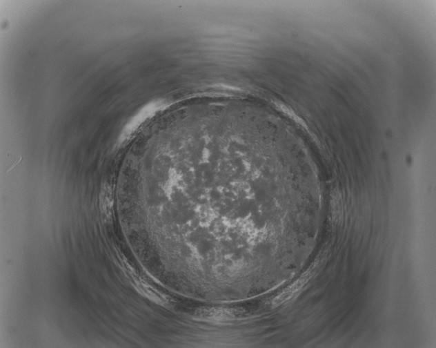 X0000087411355200704271702