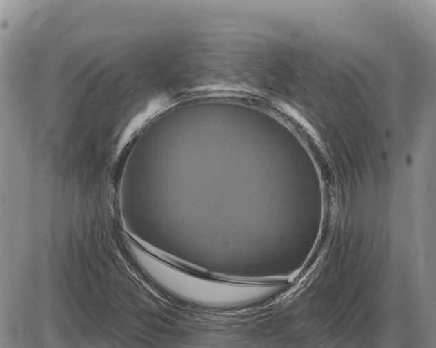 X0000087411357200704271702