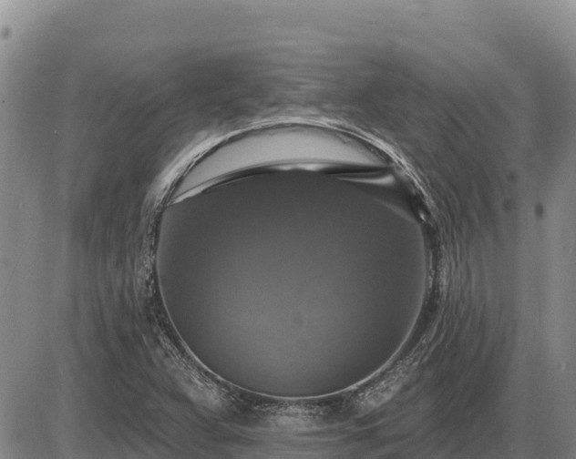 X0000087411359200704271702