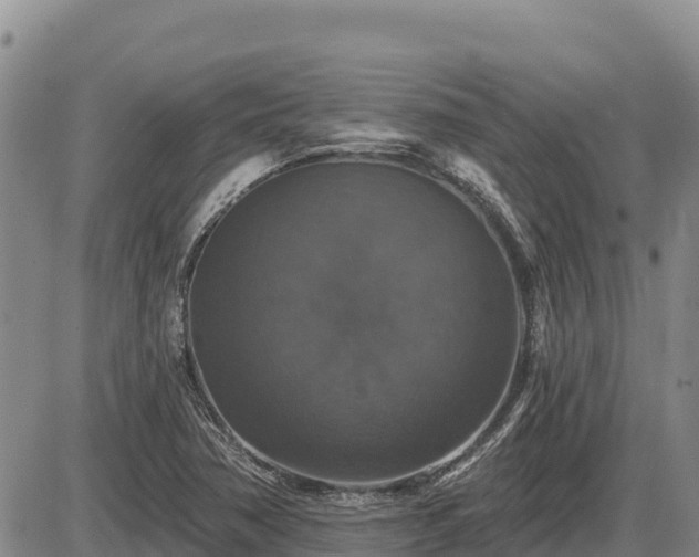 X0000087411362200704271702
