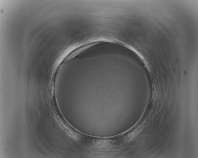 X0000087411367200704271701