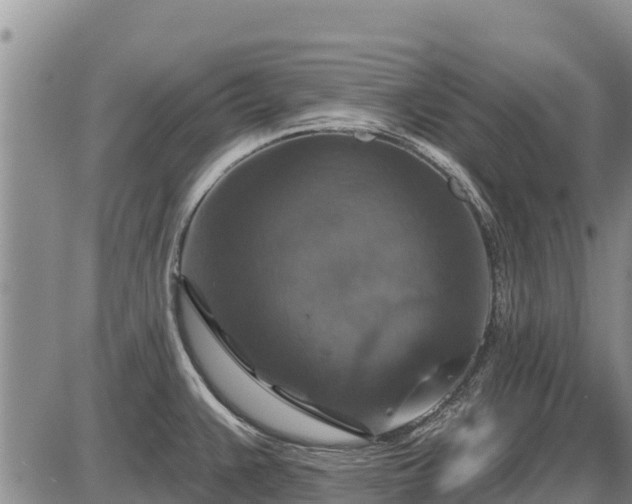 X0000087411383200704271701