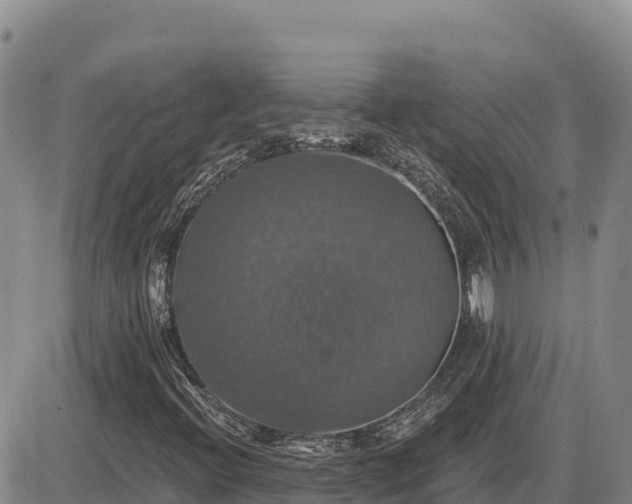 X0000087411396200704271700
