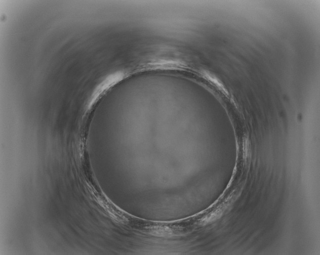 X0000087411405200704271700