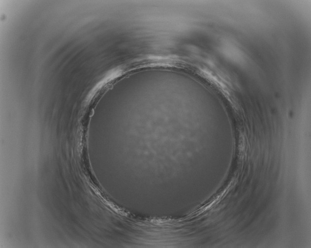 X0000087411411200704271701