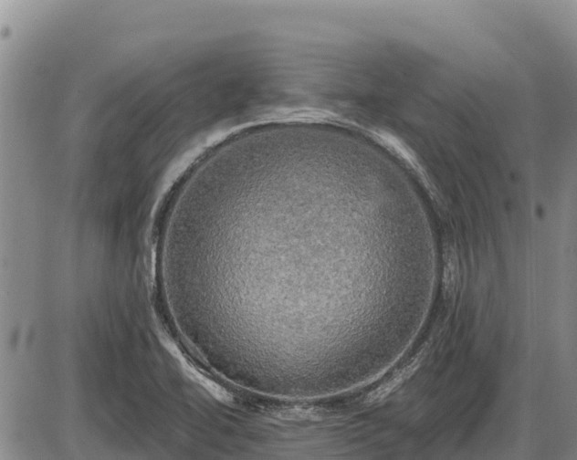 X0000087411414200704271701