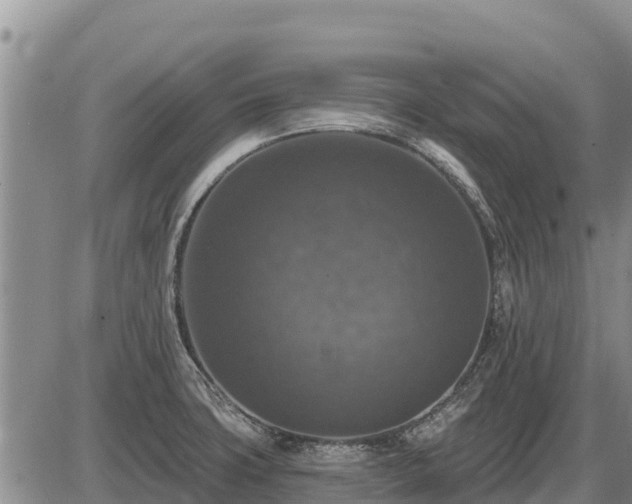 X0000087411427200704271701