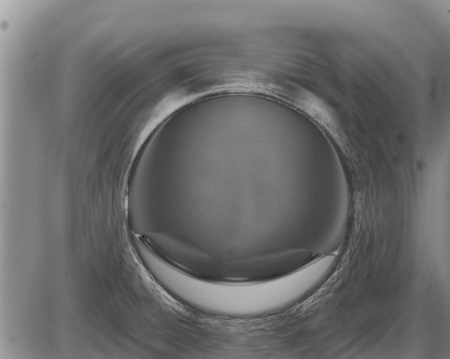 X0000087411428200704271701