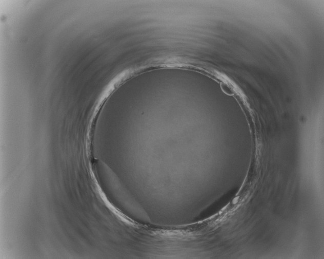 X0000087411429200704271701