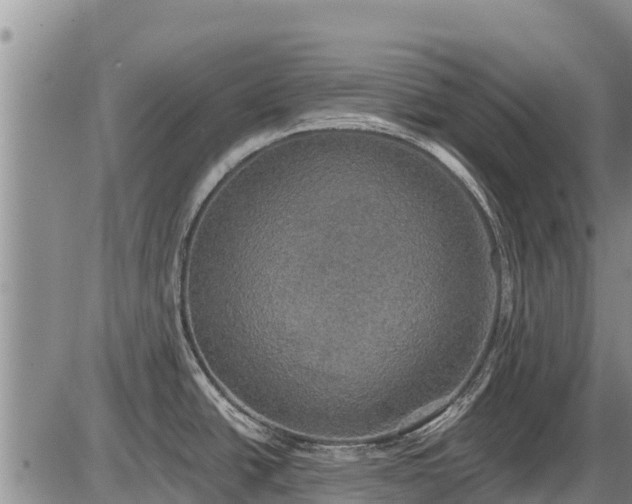 X0000087411438200704271701