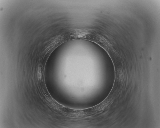 X0000087411442200704271700