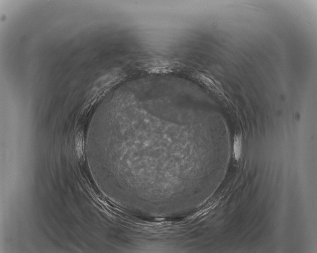 X0000087411444200704271700