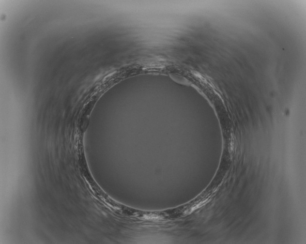 X0000087411445200704271700