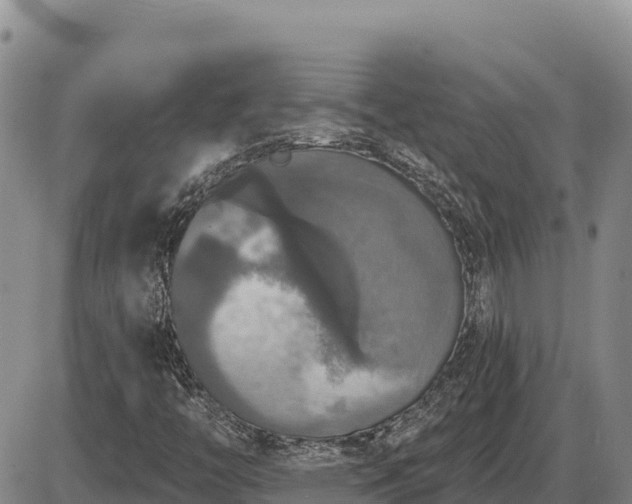 X0000087411446200704271700