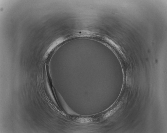 X0000087411453200704271700