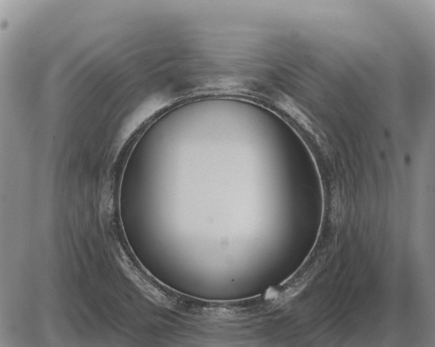 X0000087411458200704271700