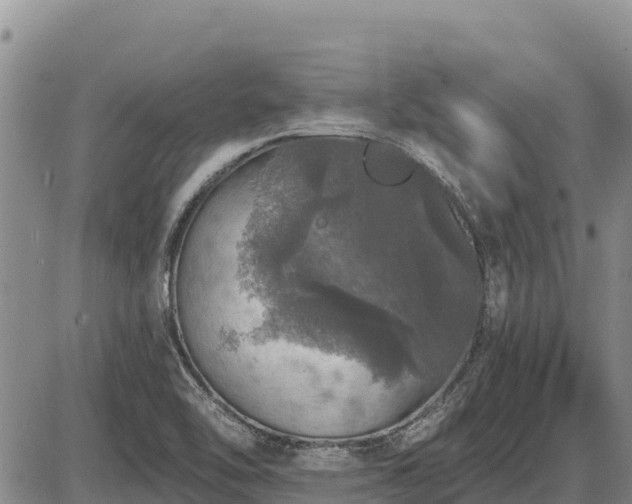 X0000087411462200704271700