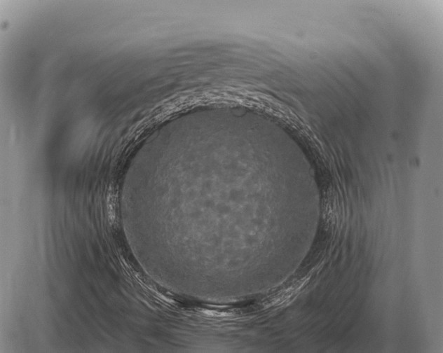 X0000087411490200704271659