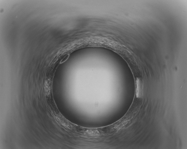 X0000087411491200704271659