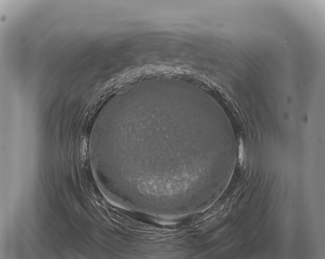 X0000087411492200704271659
