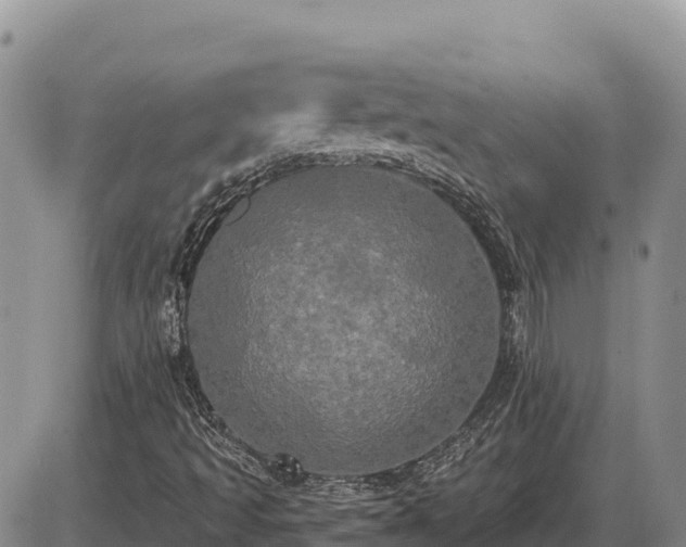 X0000087411493200704271659