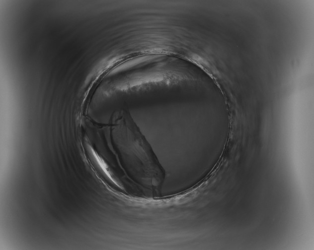 X0000087410002200705041257