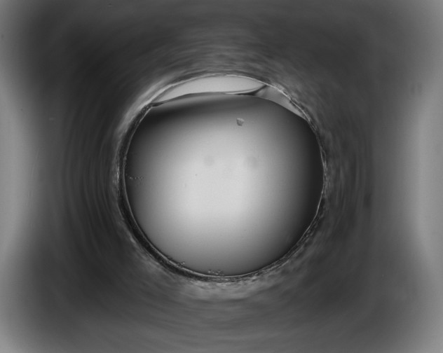 X0000087410005200705041257