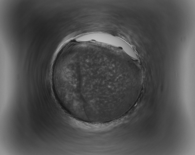 X0000087410006200705041257