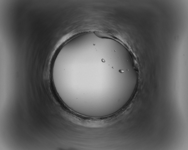 X0000087410008200705041257