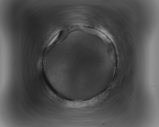 X0000087410009200705041257