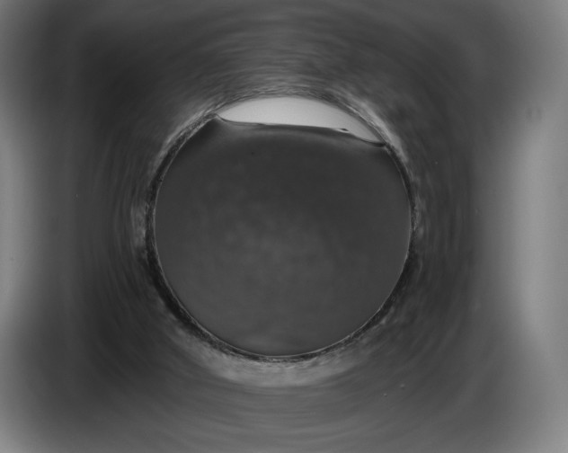 X0000087410010200705041257