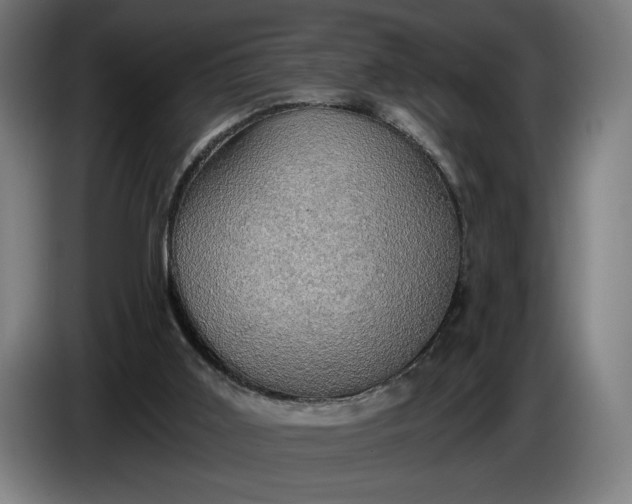 X0000087410011200705041257