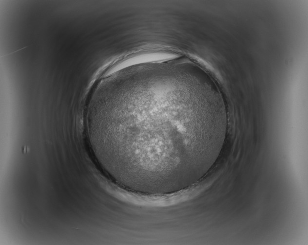 X0000087410015200705041257