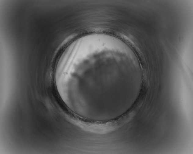 X0000087410016200705041257