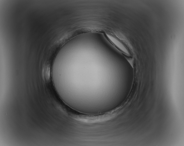 X0000087410021200705041257