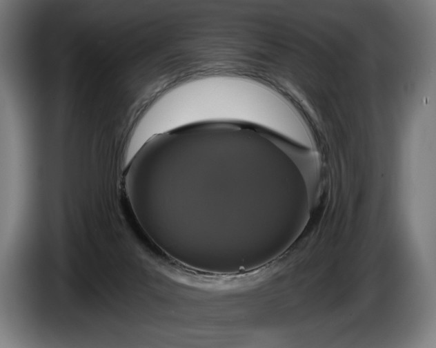 X0000087410023200705041257